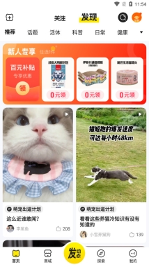 宠胖胖超级malll图4