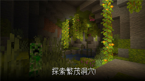 minecraftpe手机版(5)