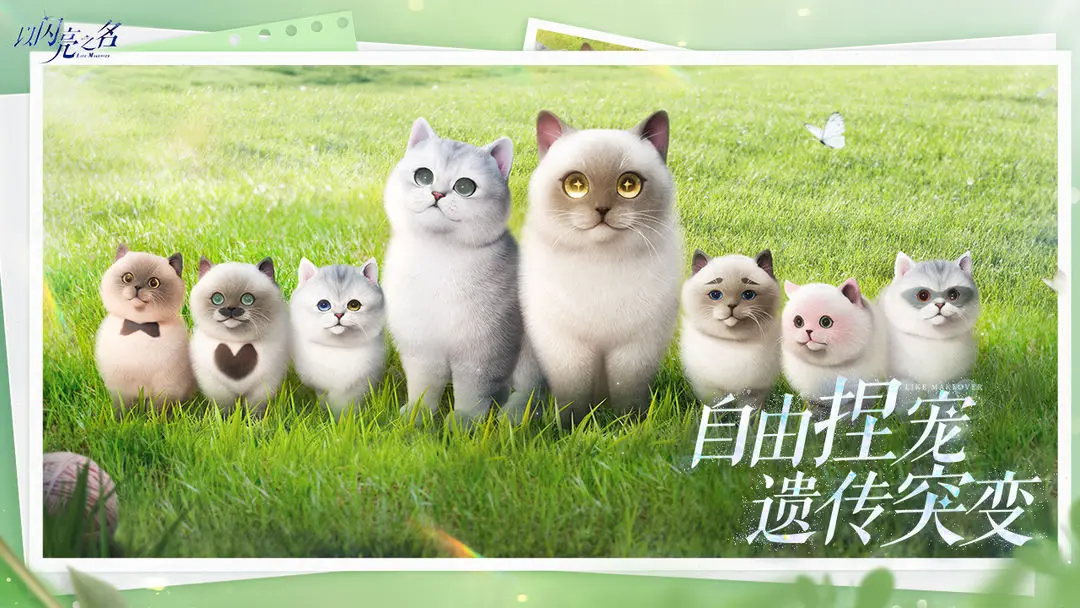 以闪亮之名周年庆版图1