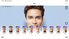 Face图1