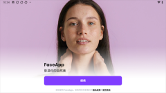 Face图5