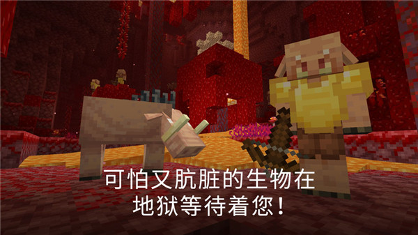 minecraftpe手机版(3)
