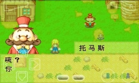牧场物语女孩版(3)
