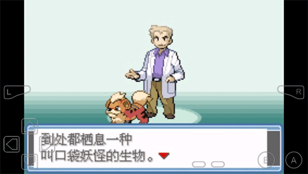 口袋妖怪永恒之焱作弊版图2