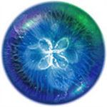 星噬免费最新版