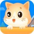 猫咪小院