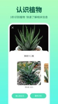 花多多(2)