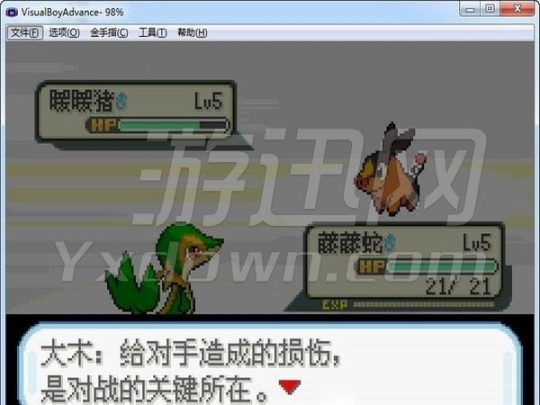 口袋妖怪圣光白(3)