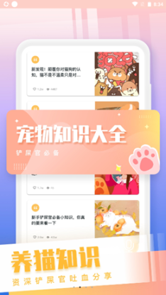 和猫对话(3)