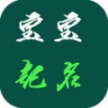 起名解名大师