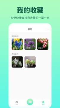 花多多(1)