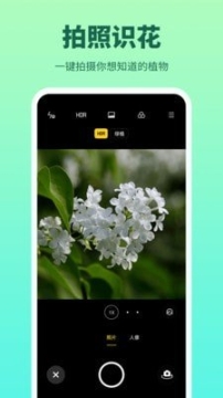 花多多(3)