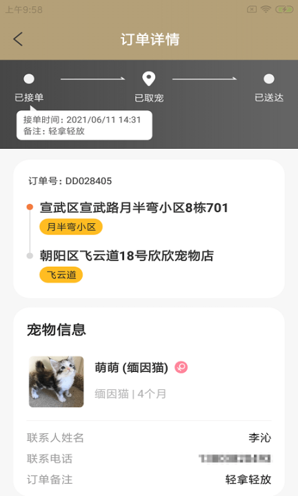 它派配达(3)