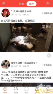 领狗狗(3)