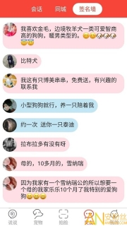 领狗狗(2)