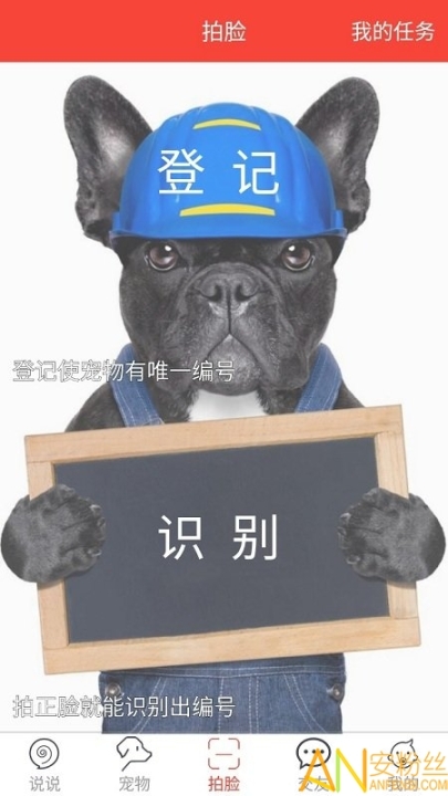领狗狗(4)