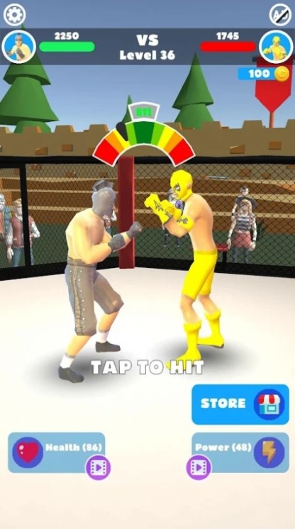 MMAFight(1)