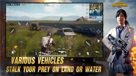 PUBG国际服官网版(1)