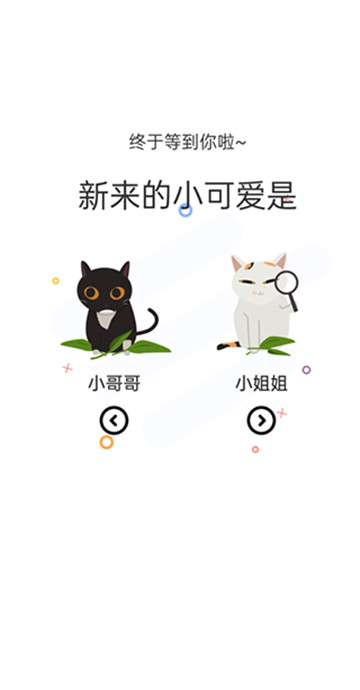 喵上漫画正版