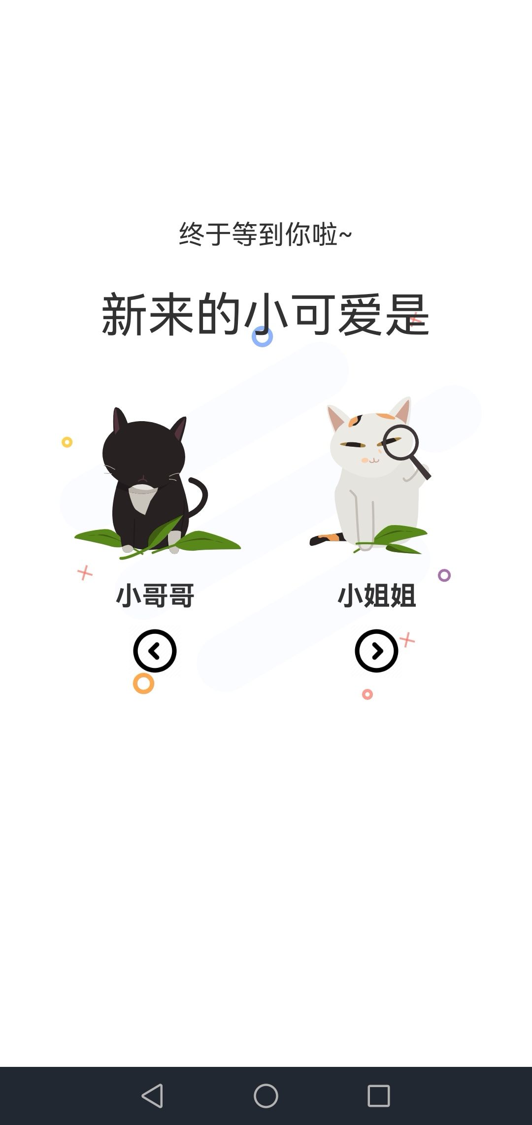 喵上漫画图3