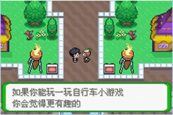 口袋妖怪空之花神图3