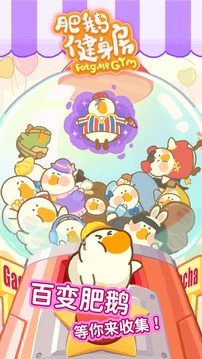 肥鹅健身房官网版图2