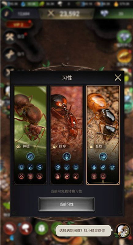 小小蚁国国际服图2