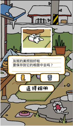 猫咪后院正版图2
