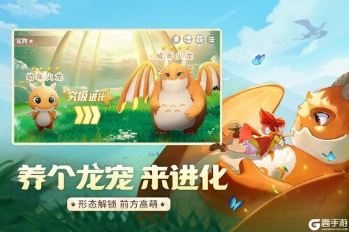 龙骑士学园手游官方版图1